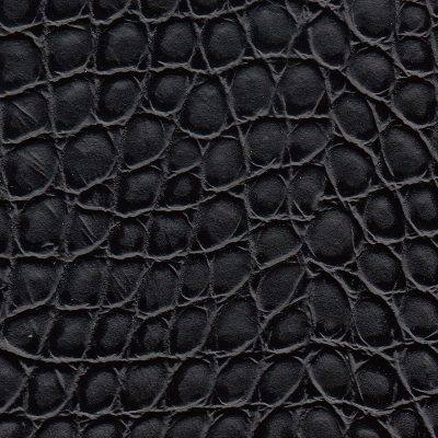 Allure_BewitchingAlligator_M-294920 Allure_BewitchingAlligator_M-294920