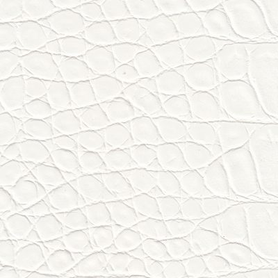 Allure_ModestAlligator_M-294922 Allure_ModestAlligator_M-294922