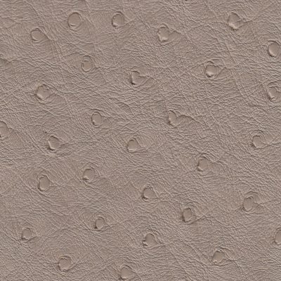 Allure_OstrichCowboy_M-294923 Allure_OstrichCowboy_M-294923