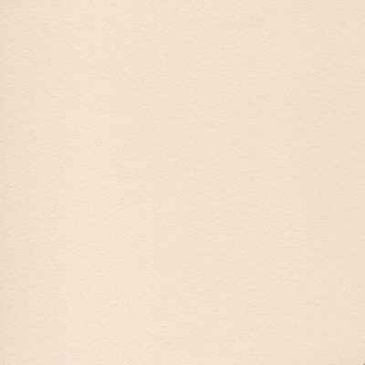 BackColor_Almond_CMW-005 BackColor_Almond_CMW-005