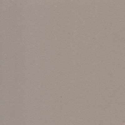 BackColor_Ashen_CMW-010 BackColor_Ashen_CMW-010