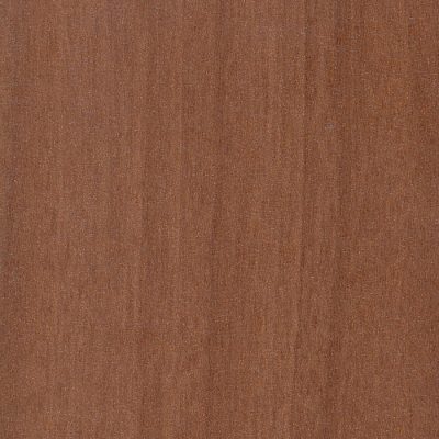 BackColor_LaNotteAmati_CMW-007 BackColor_LaNotteAmati_CMW-007