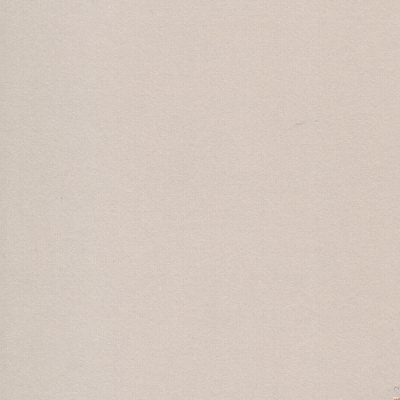 BackColor_Willow_CMW-013 BackColor_Willow_CMW-013