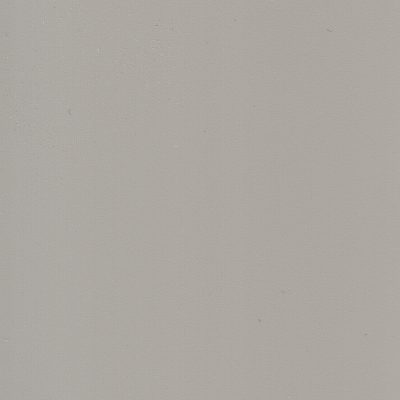 Core_BelugaGrey_M-294942 Core_BelugaGrey_M-294942